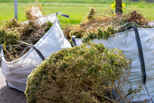 Best Office Junk Removal  in Grand Junction, CO